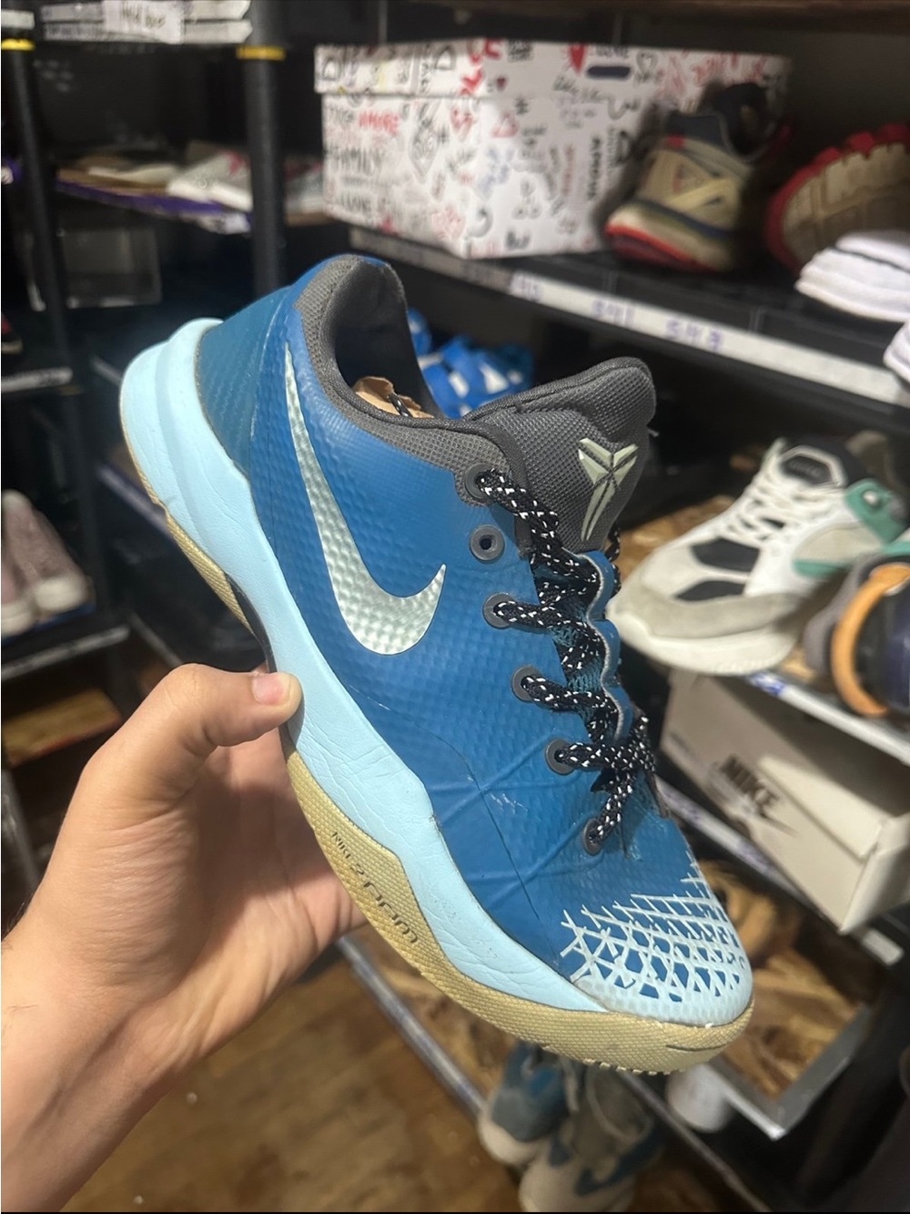 Nike Blue and Light Blue Low-Top Basketball Shoe